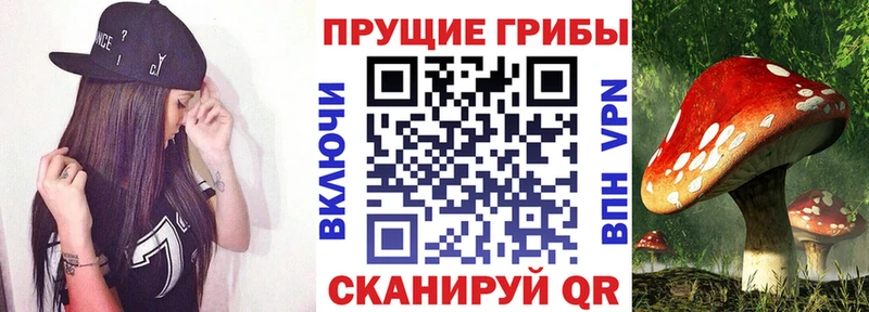 Псилоцибиновые грибы MAGIC MUSHROOMS  как найти закладки  Усолье 